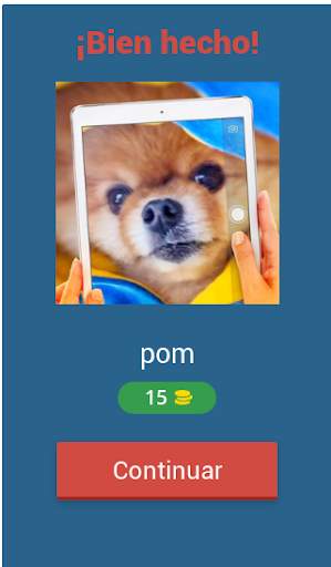 Tiktokers del mundo screenshot 2