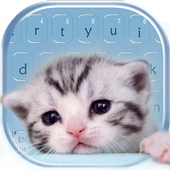 Cute Kitty Cat Keyboard icon