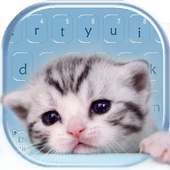 Cute Kitty Cat Keyboard on 9Apps