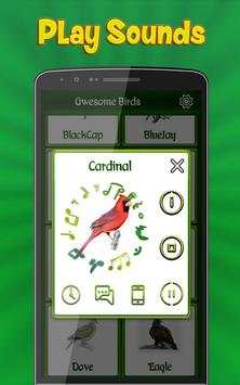 Birds Calls Sounds Ringtones screenshot 3