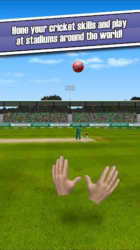 New Star Cricket screenshot 4