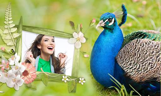 Peacock & Nature Photo Frames 1 تصوير الشاشة