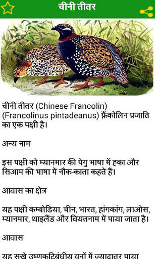 Birds Information in Hindi screenshot 7