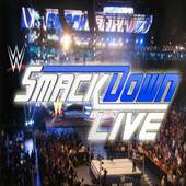 WWE SmackDown : SmackDown Fight Videos 1.0
