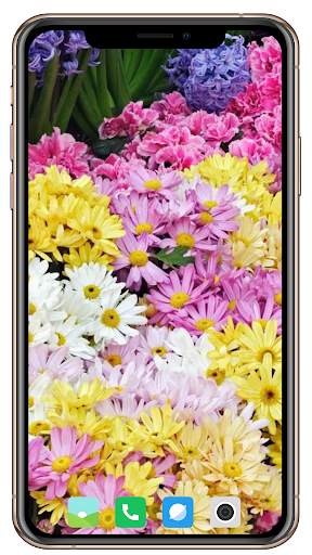 Spring  Wallpaper HD screenshot 9