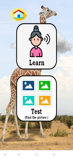 Learn German Vocabulary with Pronunciation - Free screenshot 5