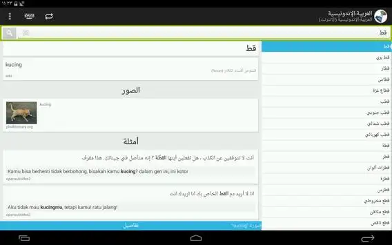 Arabic-Indonesian Dictionary скриншот 7