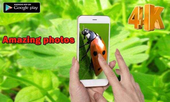 Super Mega Zoom Camera 4K 2017 screenshot 2