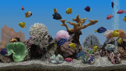 Marine Aquarium 3.3 screenshot 1