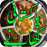 Pakistani Khanay icon