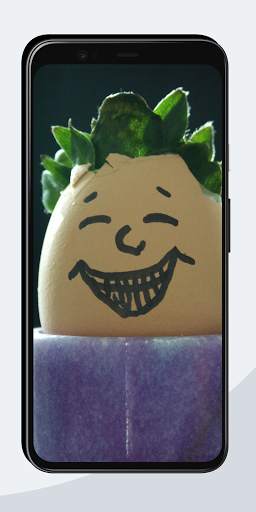 Funny Wallpapers screenshot 7