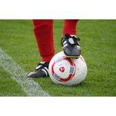 Fifa League icon