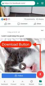 HD Facebook Video Downloader screenshot 2