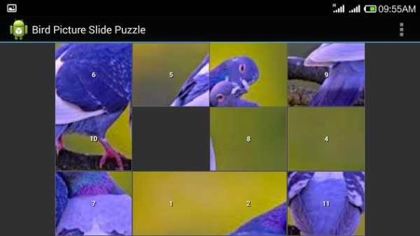 Bird Jig Saw Puzzle screenshot 4