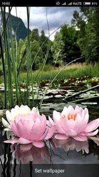 Flowers Live Wallpapers screenshot 2