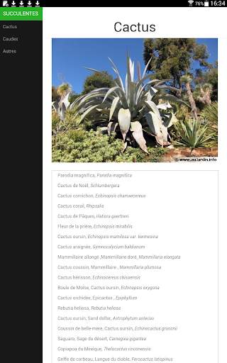 Au Cactus screenshot 21