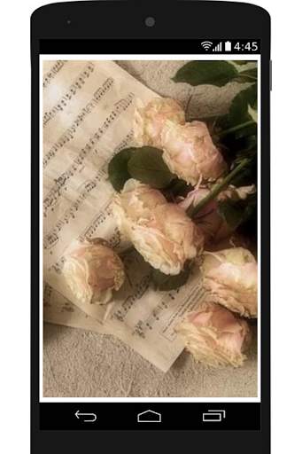 Solo piano solo radio screenshot 1