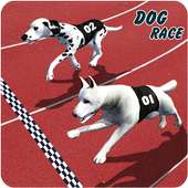 Crazy Greyhound Dog Racing logo