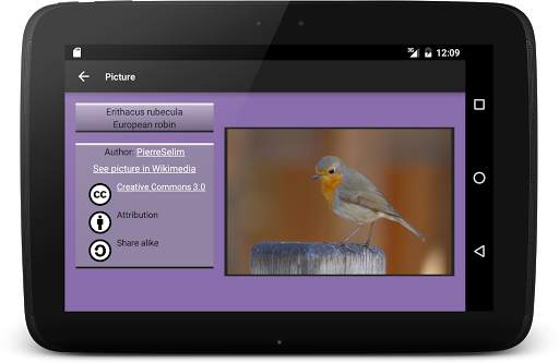 104 Birds Quiz screenshot 20