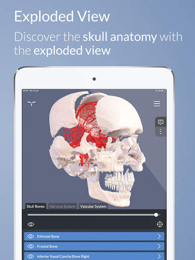 Head Atlas screenshot 10