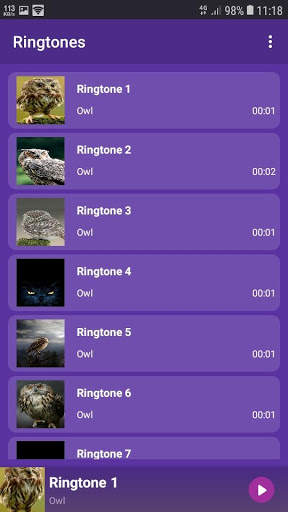 Owl - RINGTONES and WALLPAPERS screenshot 1