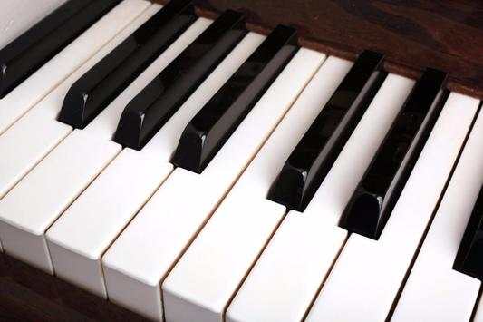 Play Piano:  Free screenshot 1
