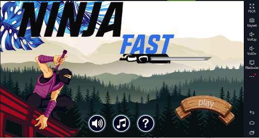 Ninja pro screenshot 1