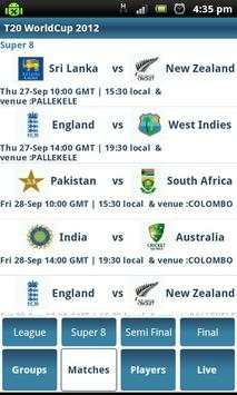 T20 Cricket screenshot 3