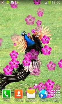 Peacock Live Wallpapers 3 تصوير الشاشة