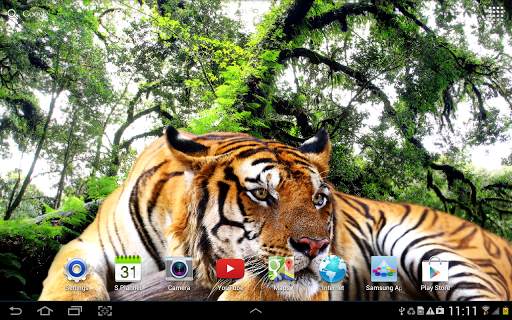 Tiger Live Wallpaper screenshot 14