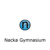 NG Schema icon