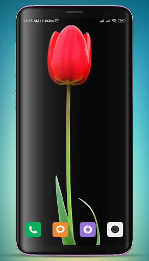Red Wallpaper HD screenshot 7