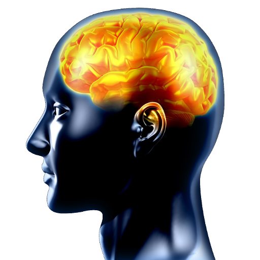 Brain Training icon