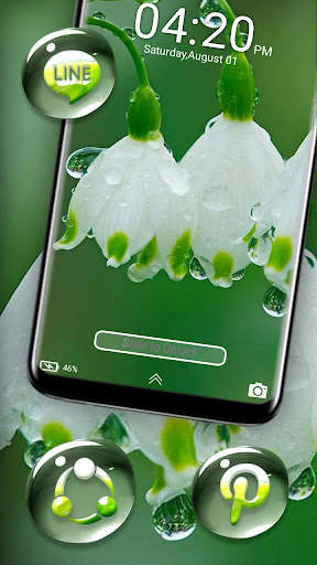 White Lily Rain Drop Theme screenshot 4