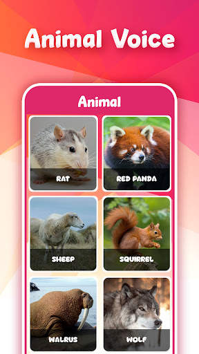 Animal Bird Sounds screenshot 5