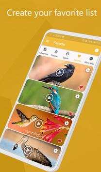 Bird call screenshot 4