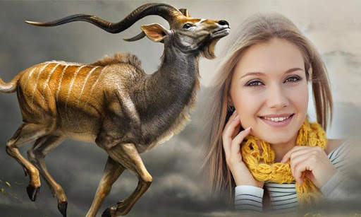 Wild Animal Photo Frames screenshot 2