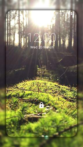 Forest Wallpapers HD (backgrounds & themes) screenshot 3