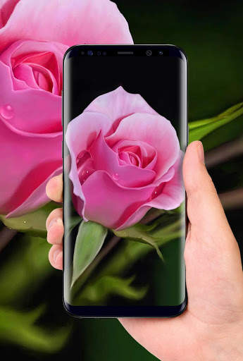Beautiful Rose Free Live Wallpaper screenshot 7