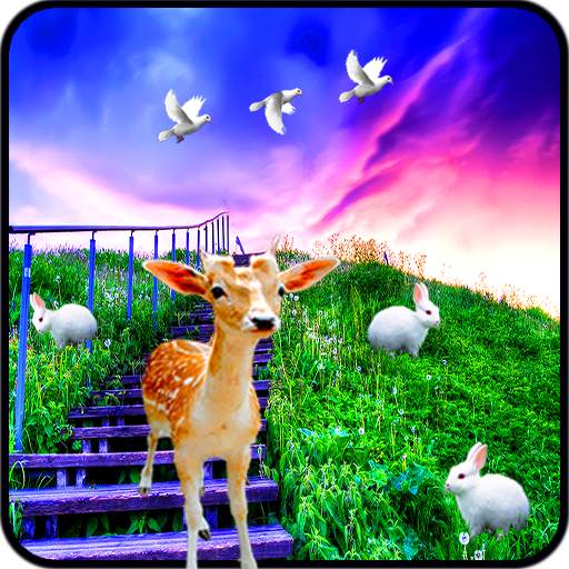 S5 Grass Land Live Wallpaper 1.04