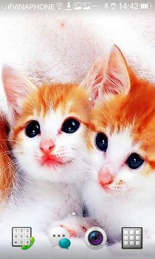 Cat Live Wallpaper HD 4K screenshot 1