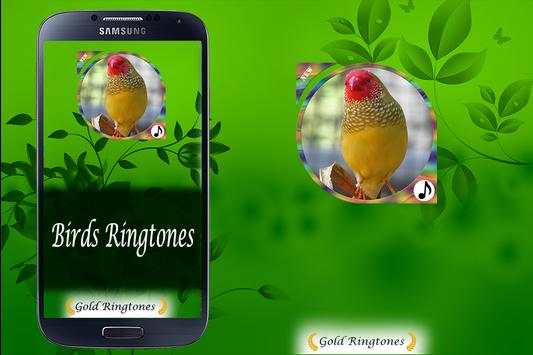 Birds Ringtones screenshot 1