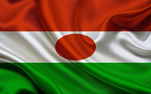 Niger Flag Wallpaper screenshot 6