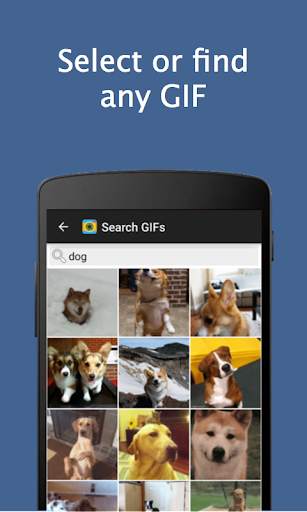GIF2VIDEO - trans GIF to VIDEO screenshot 2