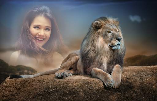 Lion Photo Frames screenshot 2