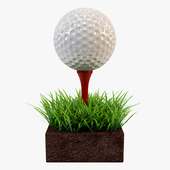Mini Golf