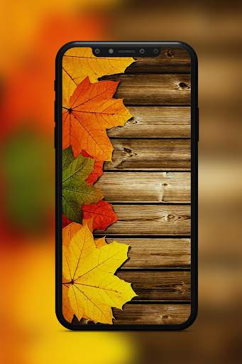 Autumn Wallpaper screenshot 4