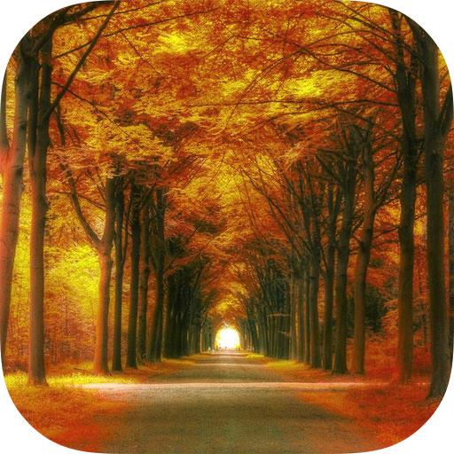 Forest HD Backgrounds icon