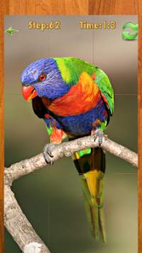 Bird puzzle game screenshot 1