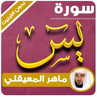 surah yasin maher al muaiqly offline logo